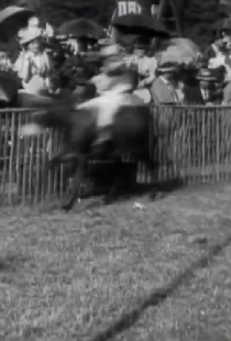 Courses d'ânes: II, la course