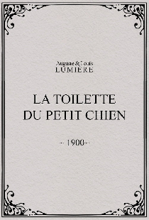 La toilette du petit chien