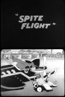 Spite Flight