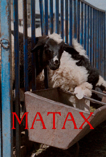 Матах