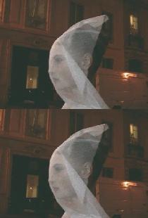 Своего рода видеодневник