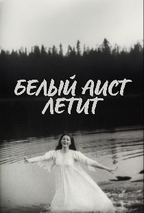 Белый аист летит