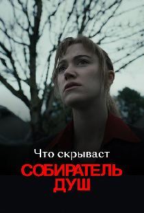Что скрывает «Собиратель душ»