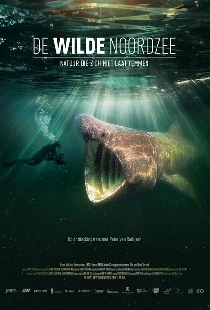 Дикое Северное море