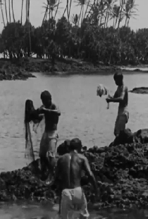 Kanaka Fishermen Casting the Throw Net, Hilo, H.I.