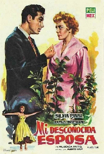 Mi desconocida esposa