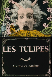 Тюльпаны
