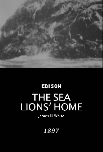 The Sea Lions' Home