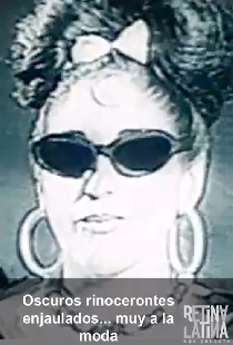 Oscuros rinocerontes enjaulados... muy a la moda