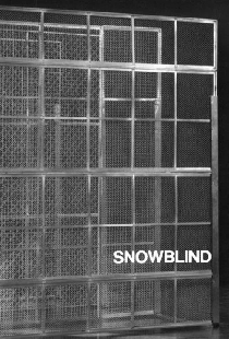 Snowblind