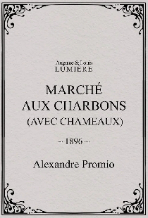 Marché aux charbons (avec chameaux)