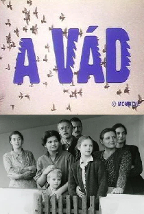 Обвинение