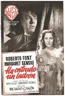Ha entrado un ladrón