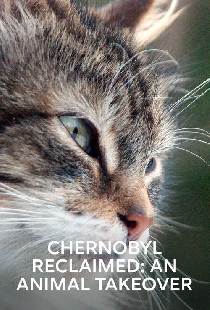 Chernobyl Reclaimed: An Animal Takeover