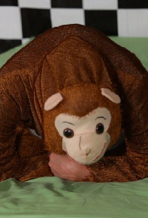The Five Little Monkeys