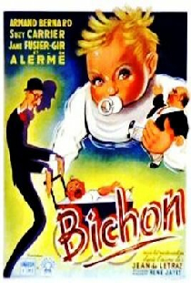 Bichon