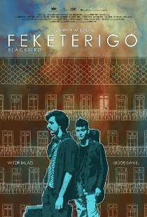 Feketerigó