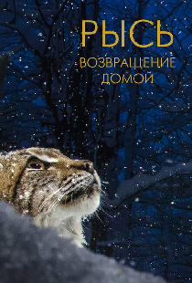 Рысь. Возвращение домой