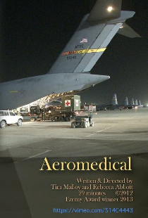 Aeromedical