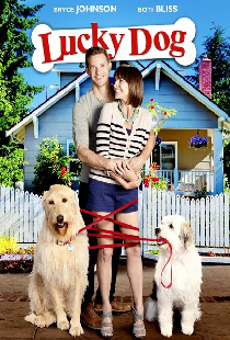 Lucky Dog