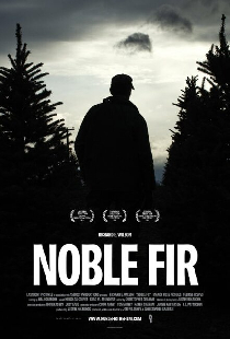 Noble Fir