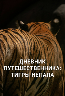 Дневник путешественника: Тигры Непала