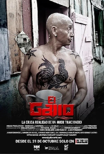 El Gallo