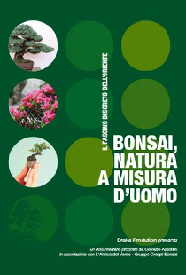 Bonsai, natura a misura d'uomo
