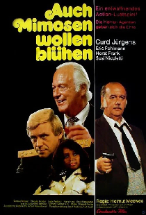 Auch Mimosen wollen blühen