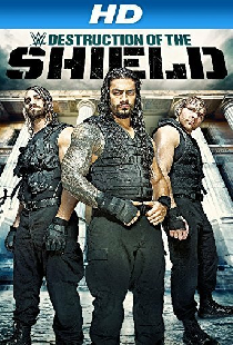 The Destruction of The Shield