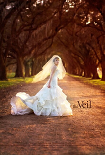 The Veil