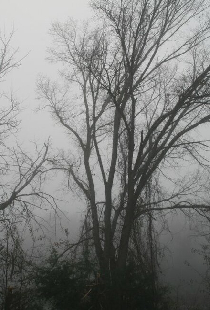 A Haunting in Arkansas