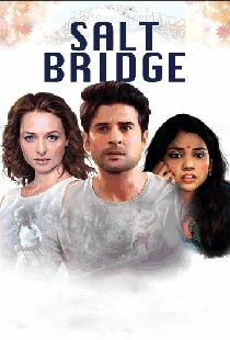 Salt Bridge