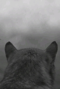 From the Mountain