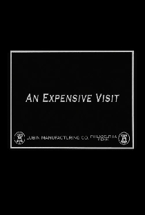 An Expensive Visit