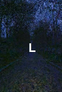 L