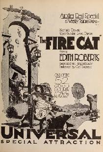 The Fire Cat