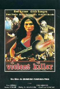 Леди Истребитель
