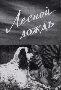 Лесной дождь