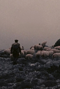 Pastori di Orgosolo
