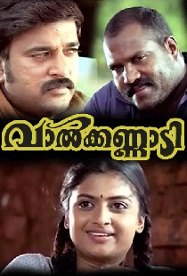 വാൽക്കണ്ണാടി
