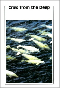 Les Pièges de la Mer
