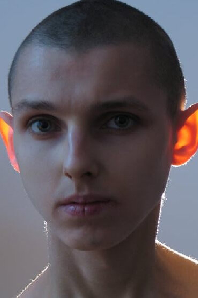 Томек Попакул