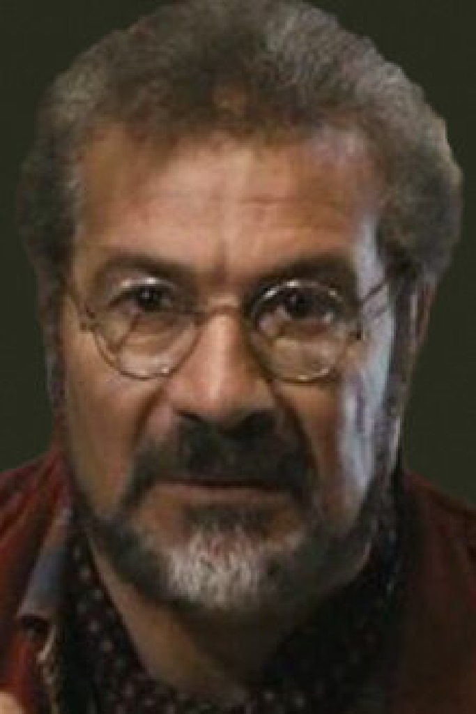 Mohamed Abdelmoaty