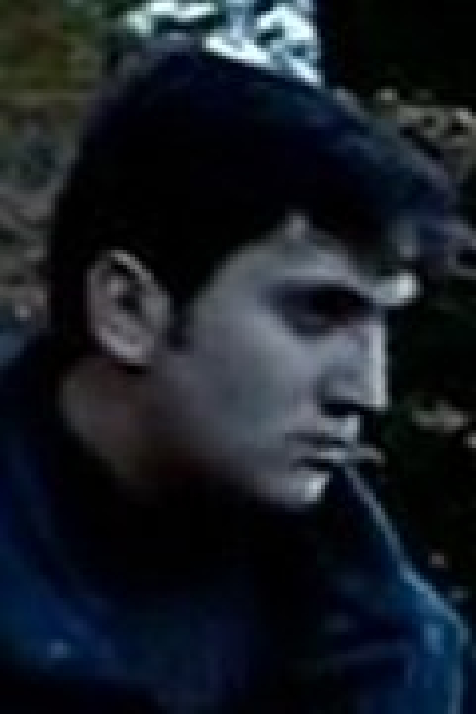 Эльвир Сабанович