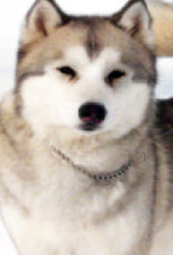 Кода