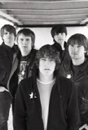 The Pigeon Detectives
