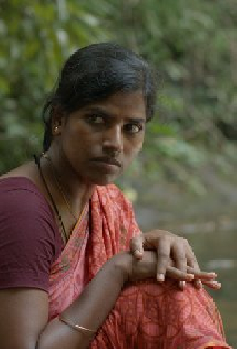 Janagi